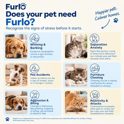 Furlo Calming Pet Diffuser